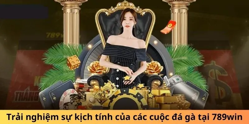 Trải nghiệm sự kịch tính của các cuộc đá gà tại 789win